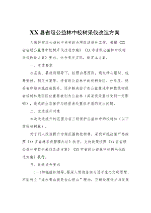 XX县省级公益林中桉树采伐改造方案.docx