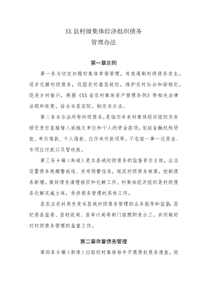 XX县村级集体经济组织债务管理办法.docx