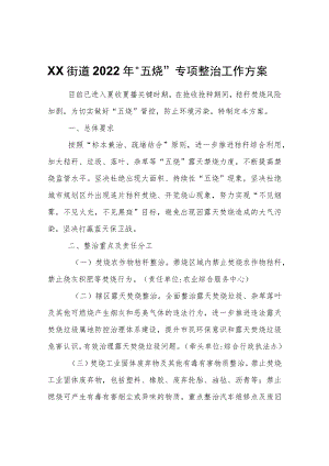 XX街道2022“五烧”专项整治工作方案.docx