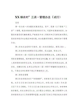 XX镇农村“三资”管理办法（试行）.docx