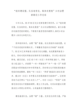 “组织建设强、队伍培育优、集体发展稳”乡村治理新路径工作总结.docx