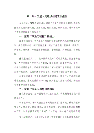 “五星”党组织创建工作报告.docx