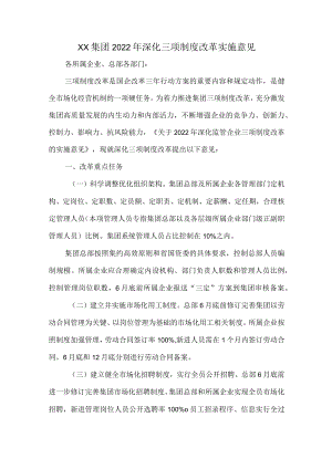 XX集团2022深化三项制度改革实施意见.docx