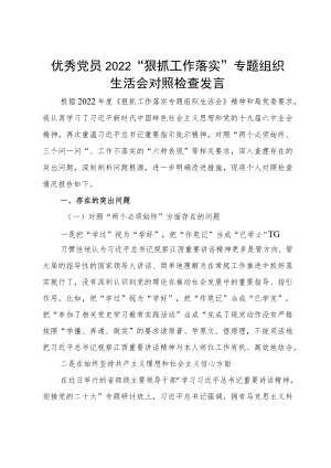 优秀党员2022“狠抓工作落实”专题组织生活会对照检查发言.docx