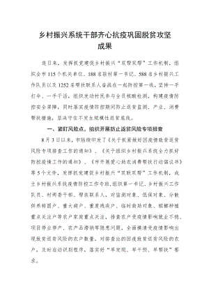 乡村振兴系统干部齐心抗疫巩固脱贫攻坚成果.docx