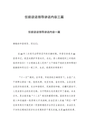 任前谈话领导讲话内容三篇.docx