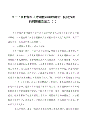 乡村振兴调研报告范文（2篇）.docx