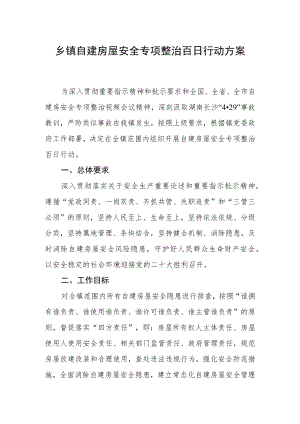 乡镇自建房屋安全专项整治百日行动方案.docx