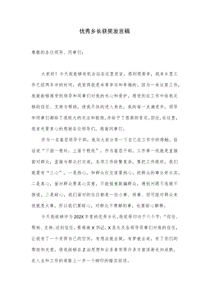 优秀乡长获奖发言稿.docx