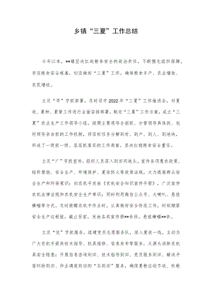 乡镇“三夏”工作总结.docx