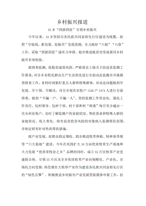乡村振兴报道.docx