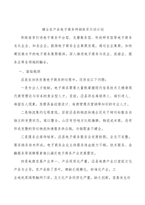健全农产品电子商务网销体系行动计划.docx