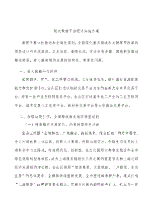做大做精平台经济实施方案.docx
