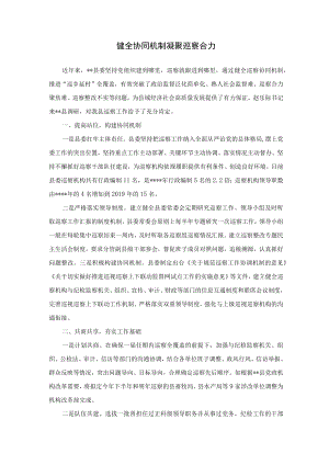 健全协同机制 凝聚巡察合力.docx