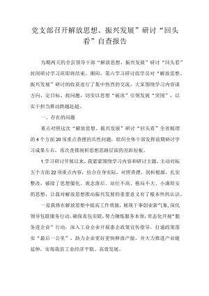 党支部召开解放思想、振兴发展”研讨“回头看”自查报告.docx