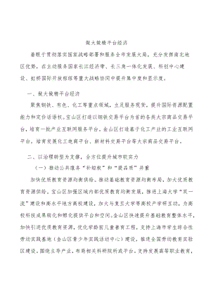 做大做精平台经济.docx