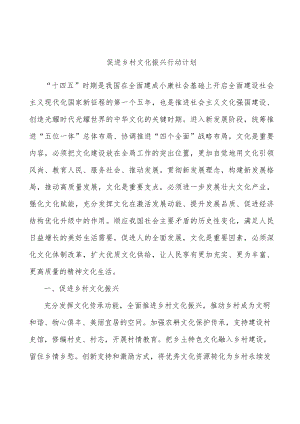 促进乡村文化振兴行动计划.docx