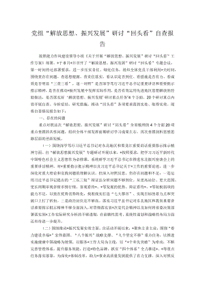 党组“解放思想、振兴发展”研讨“回头看”自查报告.docx