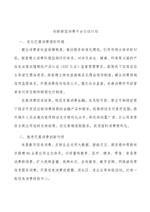 创新新型消费平台行动计划.docx