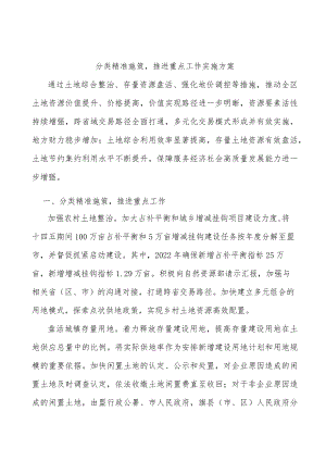 分类精准施策推进重点工作实施方案.docx
