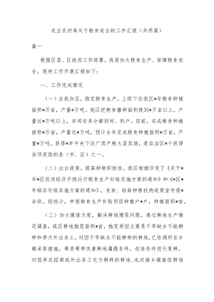 农业农村局关于粮食安全的工作汇报（共两篇）.docx