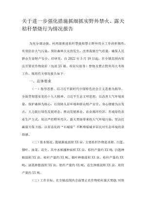 关于进一步强化措施抓细抓实野外禁火、露天秸秆禁烧行为情况报告.docx