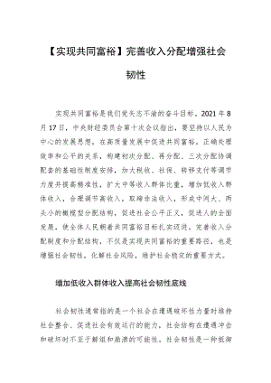 【实现共同富裕】完善收入分配 增强社会韧性.docx