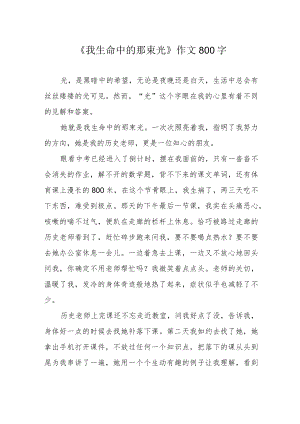 《我生命中的那束光》作文800字.docx