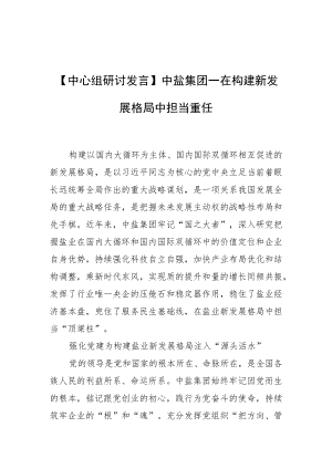 【中心组研讨发言】中盐集团—在构建新发展格局中担当重任.docx