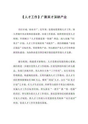 【人才工作】广聚英才 深耕产业.docx