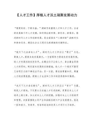 【人才工作】厚植人才沃土 凝聚发展动力.docx