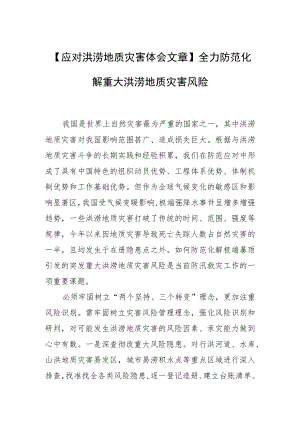 【应对洪涝地质灾害体会文章】全力防范化解重大洪涝地质灾害风险.docx