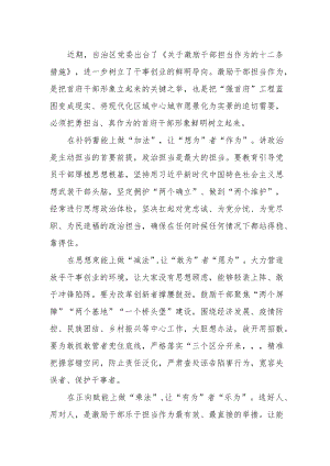 《关于激励干部担当作为的十二条措施》心得体会3篇.docx