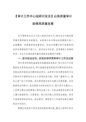 【审计工作中心组研讨发言】以高质量审计助推高质量发展.docx