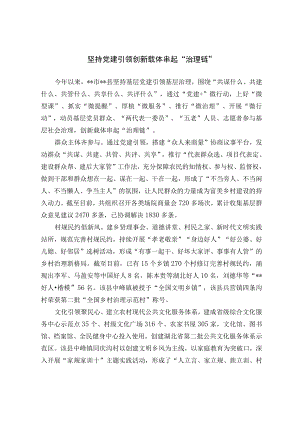 【经验总结】坚持党建引领 创新载体串起“治理链”.docx