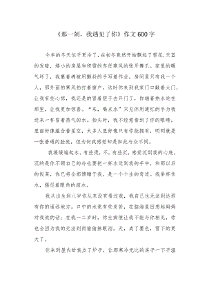 《那一刻我遇见了你》作文600字.docx