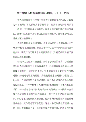 中小学新入职特岗教师培训学习心得体会（工作总结）.docx