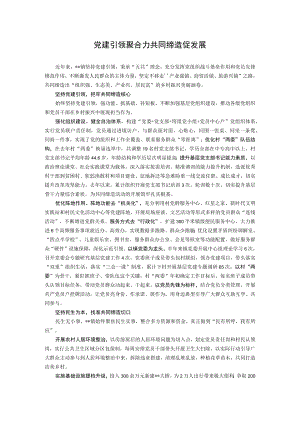 【经验总结】党建引领聚合力 共同缔造促发展.docx