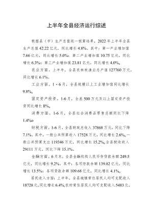 上半全县经济运行综述.docx