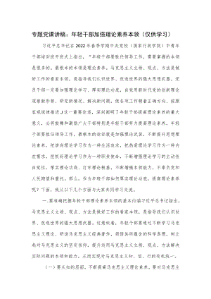 专题党课讲稿：轻干部加强理论素养本领（仅供学习）.docx
