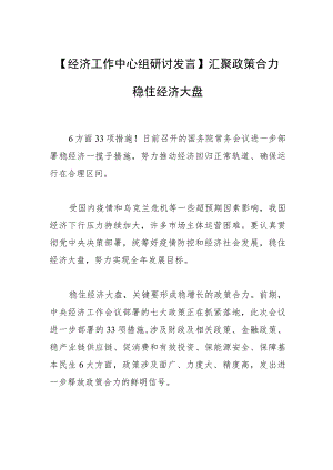 【经济工作中心组研讨发言】汇聚政策合力 稳住经济大盘.docx