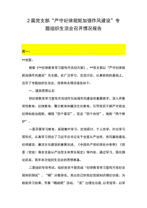 2篇 党支部“严守纪律规矩 加强作风建设”专题组织生活会召开情况报告.docx