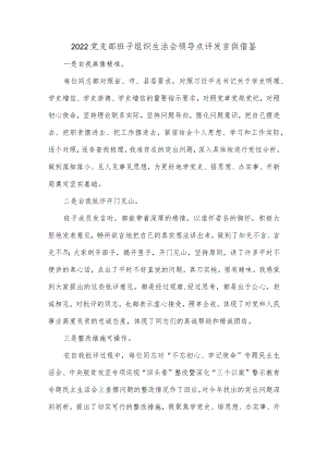 2022党支部班子组织生活会领导点评发言供借鉴.docx