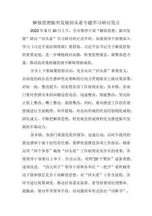 2022解放思想振兴发展回头看-学习研讨发言一.docx