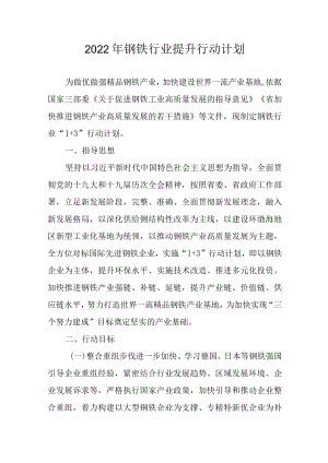 2022钢铁行业提升行动计划.docx