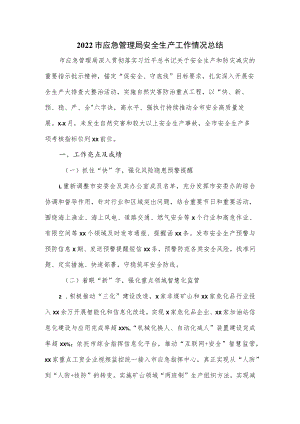2022市应急管理局安全生产工作情况总结(1).docx