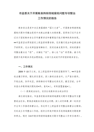 2022市监委关于开展粮食购销领域腐败问题专项整治工作情况的报告.docx