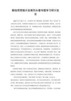 2022解放思想振兴发展回头看专题学习研讨发言材料.docx