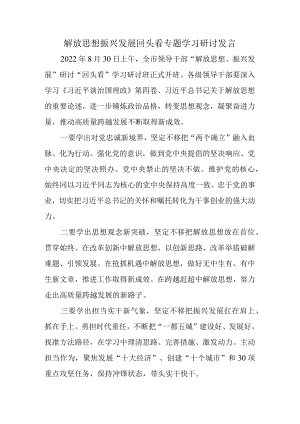 2022解放思想振兴发展回头看-学习研讨发言.docx