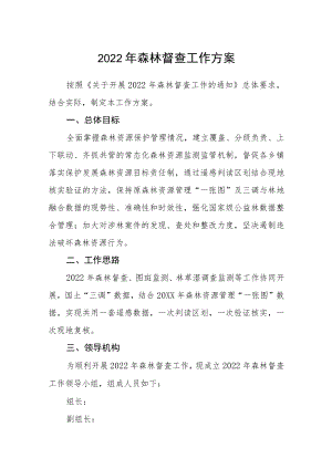 2022森林督查工作方案.docx